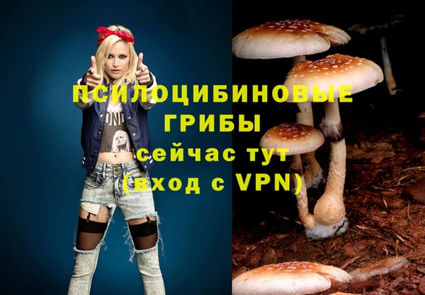 2c-b Алексеевка