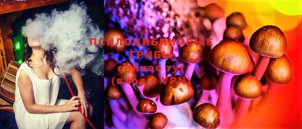 соль курить ск Алексин