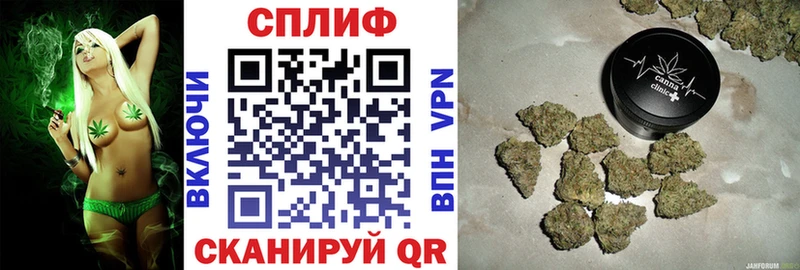 мориарти какой сайт  Волгоград  Бошки Шишки THC 21% 